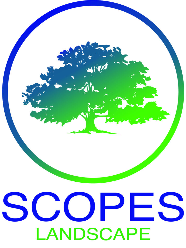 Davis Landscaping Logo