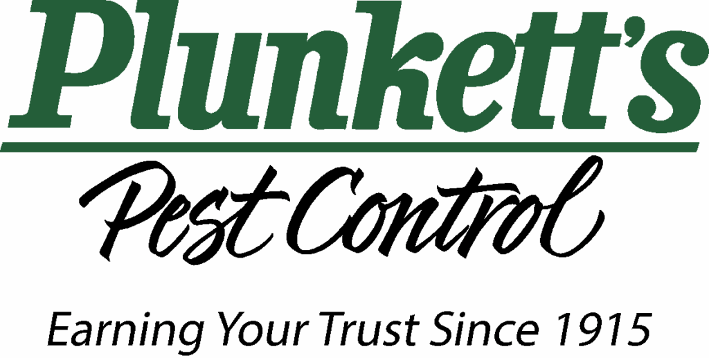 Plunkett's Logo