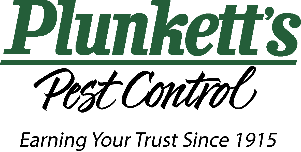 Plunkett's Logo